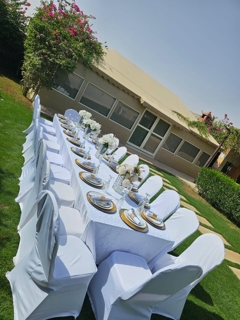 صورة 1 من 1