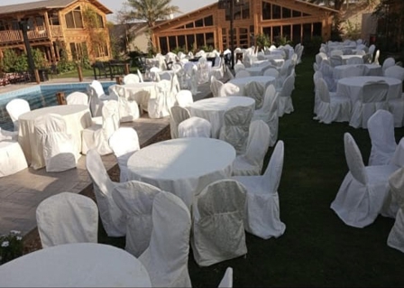 صورة 1 من 1