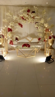 صورة 1 من 1