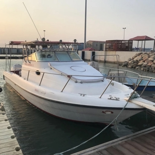 صورة 1 من 1