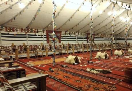 صورة 1 من 1