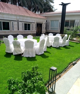 صورة 1 من 1
