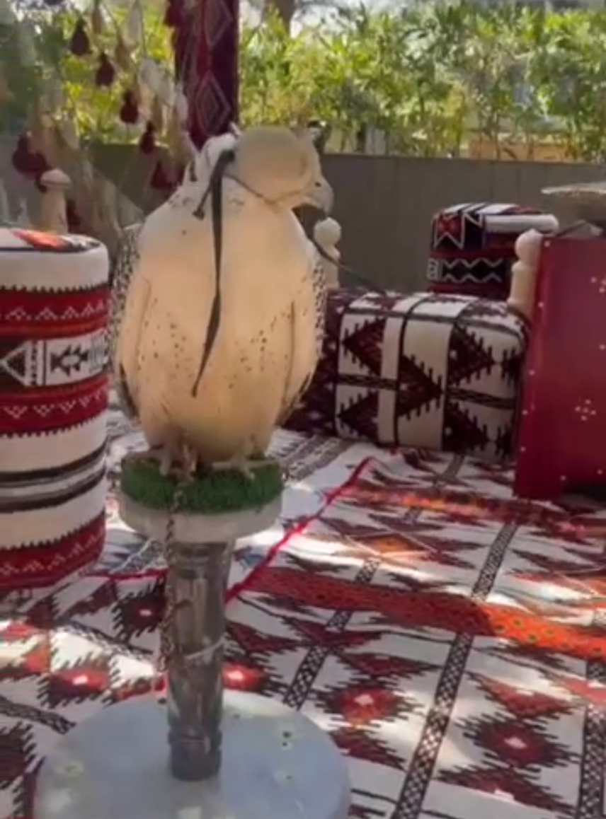 صورة المنتج