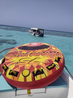 صورة 2 من 2