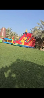 صورة 1 من 1