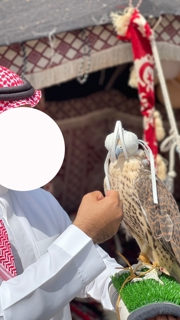 صورة 1 من 1