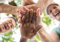 Month 1: Test Analysis / Labs / Learning / Preparation