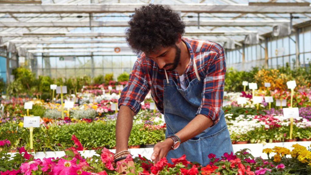 Pole emploi - offre emploi Vendeur en horticulture (H/F) - Saint-Saturnin