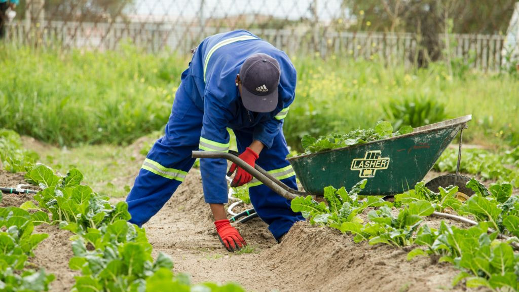 Pole emploi - offre emploi Ouvrier entretien espaces verts (H/F) - Beaurepaire