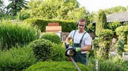Pole emploi - offre emploi Ouvrier paysagiste (H/F) - Venelles