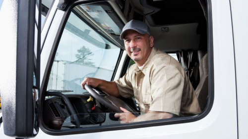 Pole emploi - offre emploi Chauffeur livreur pl (H/F) - URRUGNE