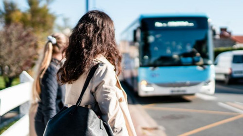 Pole emploi - offre emploi Conducteur de bus (H/F) - Saint-Sulpice-La-Pointe