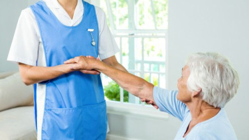 Pole emploi - offre emploi 2 infirmiers diplômés d'état (H/F) - Pontivy