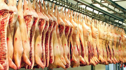 Pole emploi - offre emploi Ouvrier abattoir démoulage (H/F) - Laval