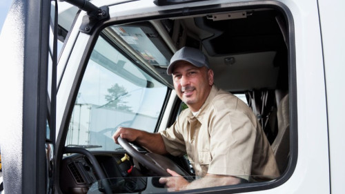 Pole emploi - offre emploi Chauffeur pl en messagerie (H/F) - Leyr