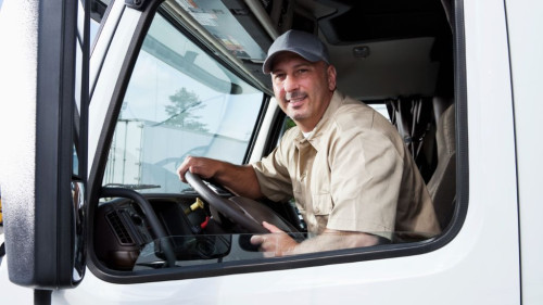 Pole emploi - offre emploi Chauffeur spl conduite poids lourds (H/F) - Carquefou