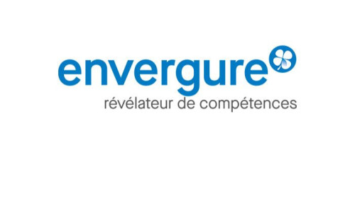 Pole emploi - offre emploi Conseiller en insertion professionnelle (H/F) - Argenteuil