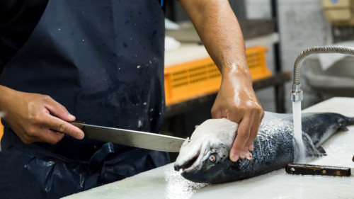 Pole emploi - offre emploi Poissonnier (H/F) - ST NAZAIRE
