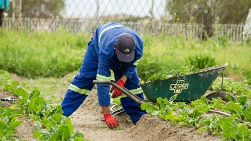 Pole emploi - offre emploi Paysagiste (H/F) - GUIPAVAS