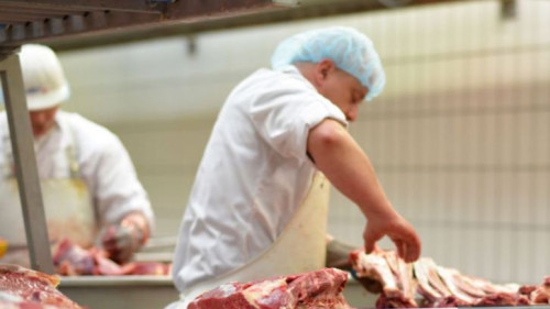 Pole emploi - offre emploi Boucher industriel (H/F) - SABLE-SUR-SARTHE