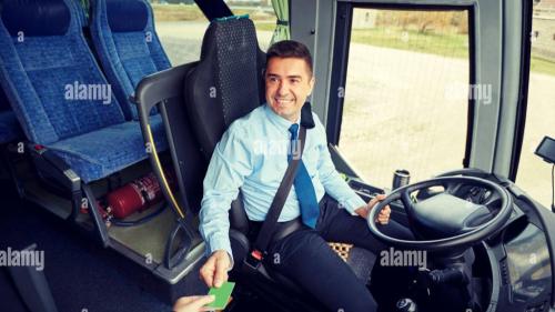 Pole emploi - offre emploi Chauffeur transport public (H/F) - Quimper