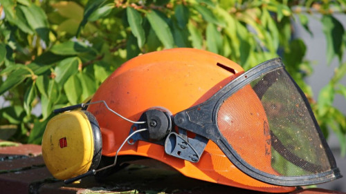 Pole emploi - offre emploi Ouvrier entretien d'espaces verts (H/F) - AJACCIO