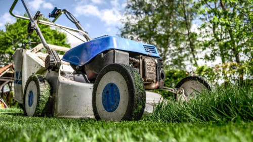 Pole emploi - offre emploi Ouvrier entretien espaces verts (H/F) - FAVEROLLES SUR CHER
