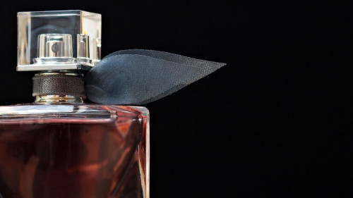Pole emploi - offre emploi Animateur expert parfums nice (H/F) - NICE