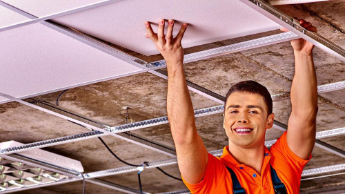 Pole emploi - offre emploi Plafiste poseur de faux plafond (H/F) - TETEGHEM COUDEKERQUE VILLAGE