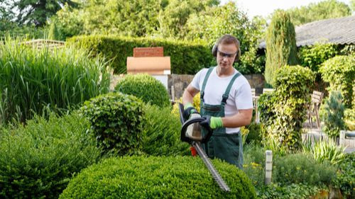 Pole emploi - offre emploi Ouvrier espaces verts (H/F) - BAILLEUL