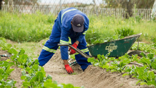 Pole emploi - offre emploi Ouvrier entretien espaces verts (H/F) - MOULINS