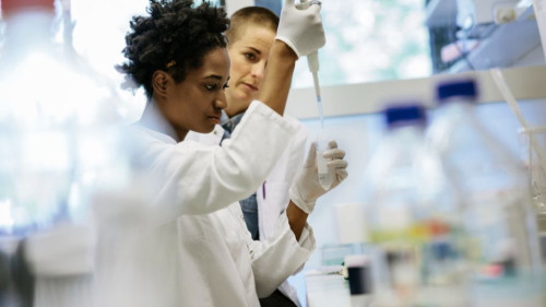 Pole emploi - offre emploi Technicien de laboratoire (H/F) - LIMAY