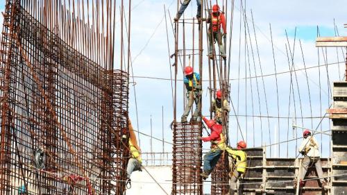 Pole emploi - offre emploi Grutier à tour (H/F) - GENAY