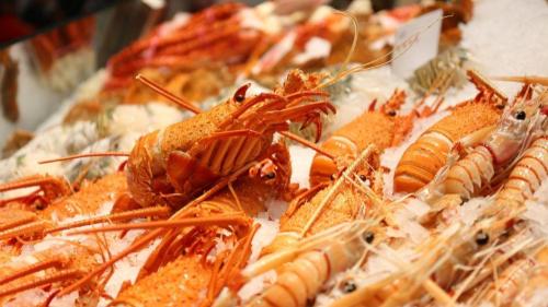 Pole emploi - offre emploi Poissonnier (H/F) - PLOUESCAT