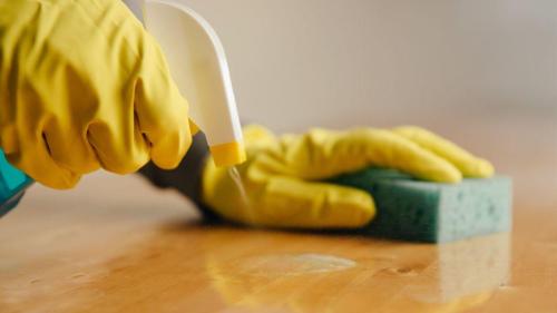 Pole emploi - offre emploi Aide ménager(e) (H/F) - AUCH