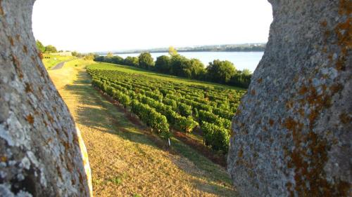 Pole emploi - offre emploi Ouvrier entretien espaces verts (H/F) - LOUANNEC