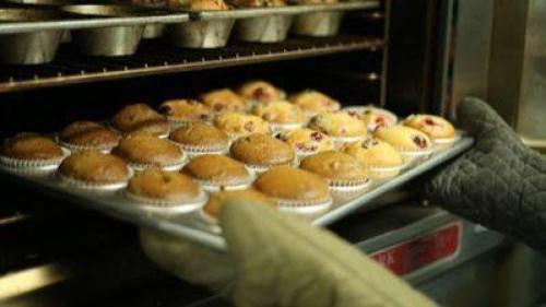 Pole emploi - offre emploi Vendeur magasin d'usine (H/F) - RENAISON