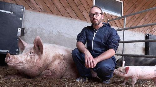 Pole emploi - offre emploi Technicien laboratoire (H/F) - ST GERMAIN LAVAL