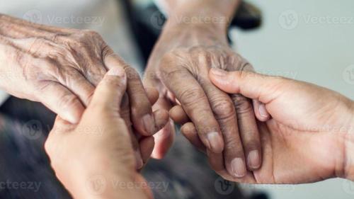 Pole emploi - offre emploi Aide à domicile (H/F) - RIVES EN SEINE