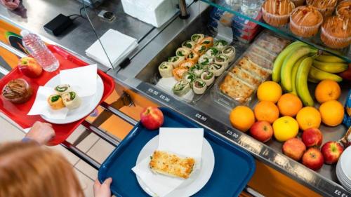 Pole emploi - offre emploi Employé de restauration collective (H/F) - ANNECY