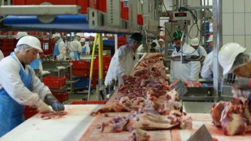 Pole emploi - offre emploi Desosseur (H/F) - LA TALAUDIERE