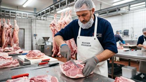 Pole emploi - offre emploi Boucher industriels (H/F) - CUISEAUX