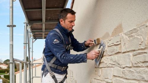 Pole emploi - offre emploi Peintre façadier (F/H) - AUBIGNY LES CLOUZEAUX