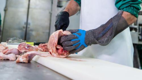 Pole emploi - offre emploi Désosseur / pareur (H/F) - METZ
