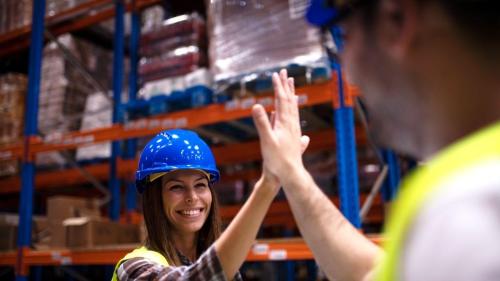 Pole emploi - offre emploi Cariste caces 6 (H/F) - VENDENHEIM