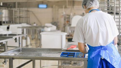 Pole emploi - offre emploi Agent de production (H/F) - Saint-Gilles-Croix-De-Vie