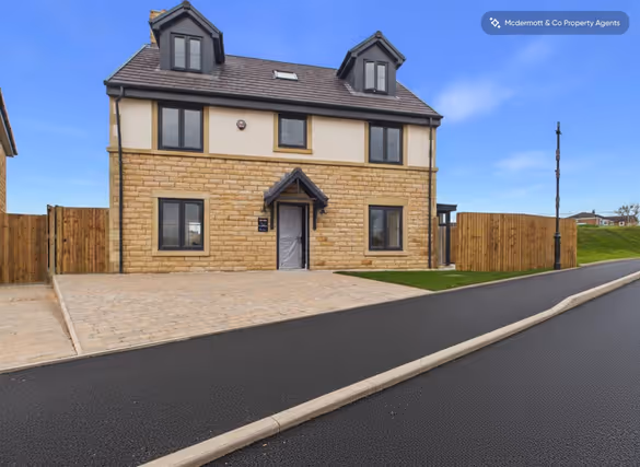 Bluebell Meadows preview