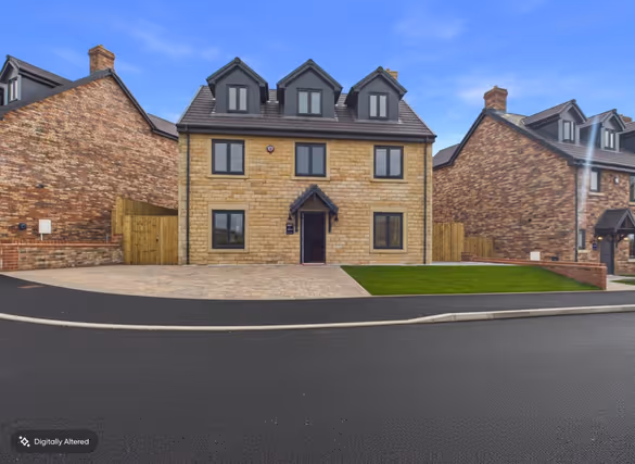 Bluebell Meadows preview