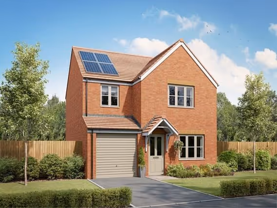 Birchwood Manor preview
