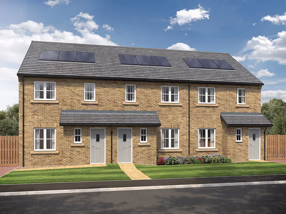 Scotby Grove preview